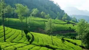 10 Best Monsoon Destinations in India