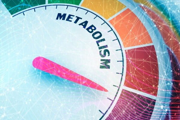 How to Reverse Metabolic Exhaustion Using Baseline Health Habits