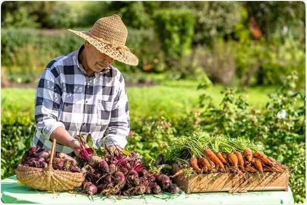 10 Best Green and Eco-Friendly Business Ideas in India